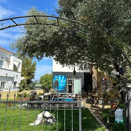 Passa * Kyrenia (Northern Cyprus)